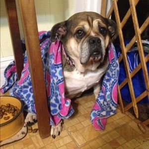 Meet your Posher, Amber